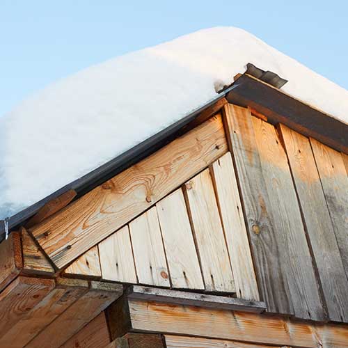 ferme émeu hiver