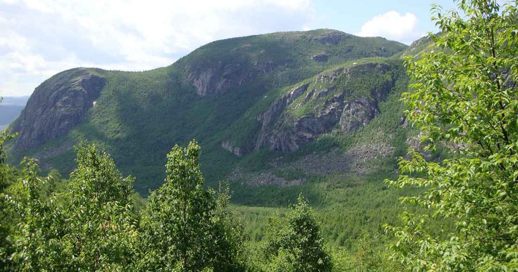 Parc des grands jardins