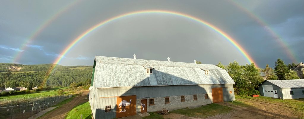 ferme emeu charlevoix