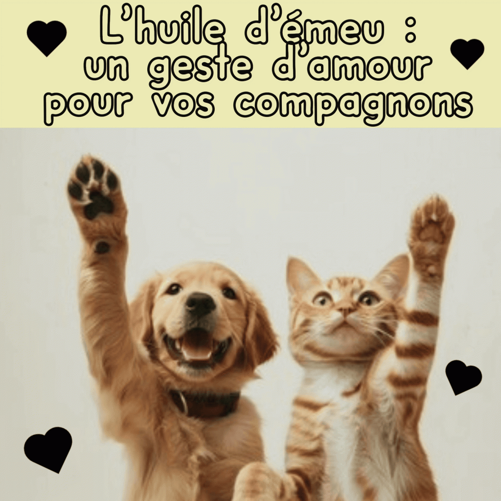 l'huile d'émeu pour les animaux